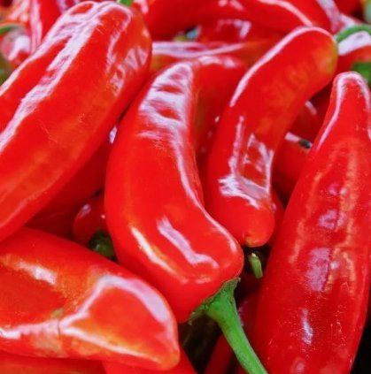 Red Marconi Sweet Pepper 50 Seeds for Garden Planting Vegetable Herb
