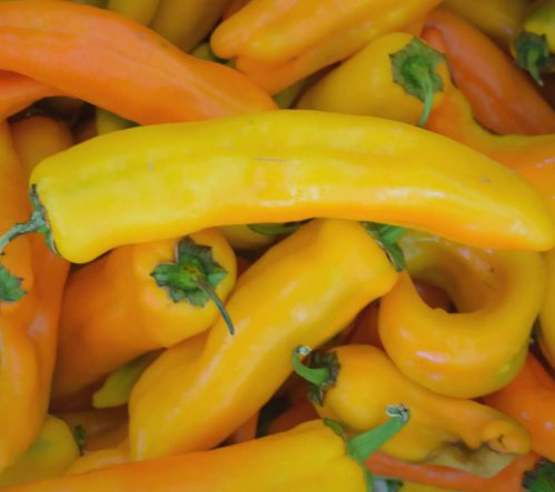Corno DI Toro Giallo Pepper Yellow 30 Seeds for Garden Planting Vegetable Herb