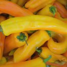 Corno DI Toro Giallo Pepper Yellow 30 Seeds for Garden Planting Vegetable Herb