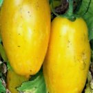 Banana Legs Yellow Tomato 50 Seeds for Garden Planting Vegetable Herb