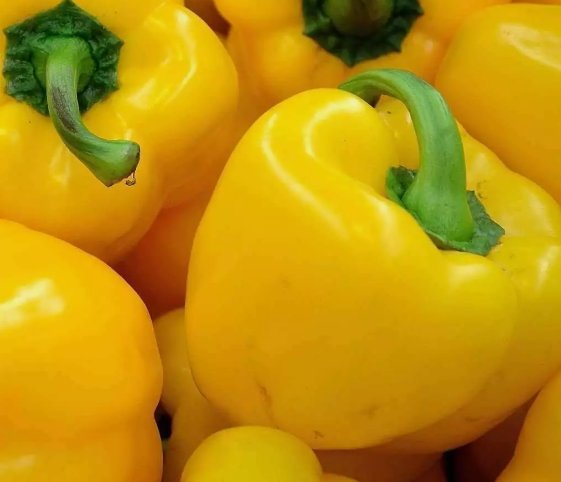 Sunbright Yellow Bell Pepper Vegetable Non Gmo Heirloom 25 Seeds for Garden Planting