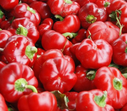 Sweet Pimento L Pepper Mild Bell Vegetable Heirloom Non Gmo 25 Seeds for Garden Planting
