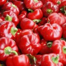 Sweet Pimento L Pepper Mild Bell Vegetable Heirloom Non Gmo 25 Seeds for Garden Planting