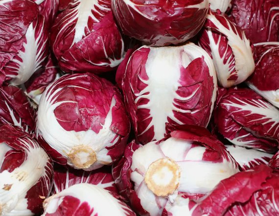 Radicchio Rouge de Verona Vegetable Heirloom Non Gmo 200 Seeds for Garden Planting