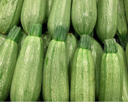 Grey Zucchini Summer Squash Gray Squash Vegetable Heirloom Non Gmo 15 Seeds for Garden Planting
