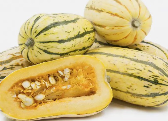 Delicata Squash Winter Heirloom Non Gmo 20 Seeds for Garden Planting