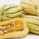 Delicata Squash Winter Heirloom Non Gmo 20 Seeds for Garden Planting