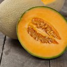 Iroquois Cantaloupe Cucumis Melo Muskmelon Fruit Heirloom Non Gmo 50 Seeds for Garden Planting