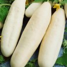 White Wonder Cucumber Heirloom Non Gmo 50 Seeds for Garden Planting