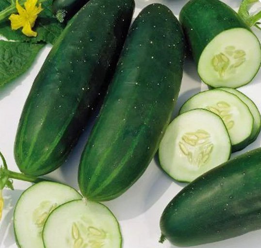 Straight Eight Cucumber Vegetable Heirloom Non Gmo 60 Seeds for Garden Planting