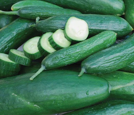 Muncher Cucumber Vegetable Heirloom Non Gmo 50 Seeds for Garden Planting