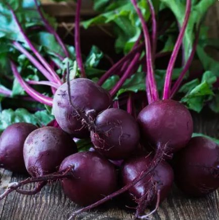 Beet Early Wonder Tall Top Vegetable Heirloom Non Gmo 100 Seeds for Garden Planting