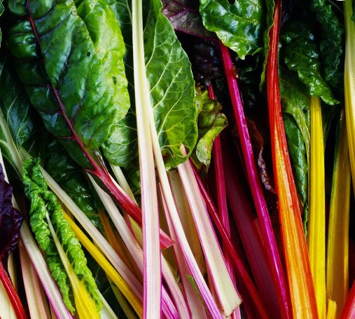 Rainbow Swiss Chard Vegetable Heirloom Non Gmo 50 Seeds for Garden Planting