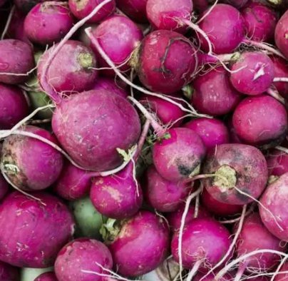Purple Plum Radish Vegetable Heirloom Non Gmo 200 Seeds for Garden Planting
