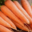 Scarlet Nantes Carrot Vegetable Heirloom Non Gmo 1000 Seeds for Garden Planting
