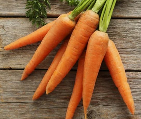 Little Finger Carrot Vegetable Heirloom Non Gmo 1000 Seeds for Garden Planting