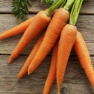 Little Finger Carrot Vegetable Heirloom Non Gmo 1000 Seeds for Garden Planting