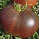 Black Krim Tomato Vegetable Heirloom Non Gmo 50 Seeds for Garden Planting
