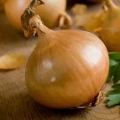 Onion Texas Early Grano 502 Yellow Vegetable Heirloom Non Gmo 200 Seeds for Garden Planting
