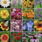 ALL PERENNIAL Mix 15 Species Flowers Butterflies Bees Heirloom Non Gmo 500 Seeds for Garden Planting