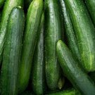 Marketer Cucumber Vegetable Heirloom Non Gmo 50 Seeds for Garden Planting
