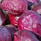 Red Acre Cabbage Vegetable Heirloom Non Gmo 500 Seeds for Garden Planting