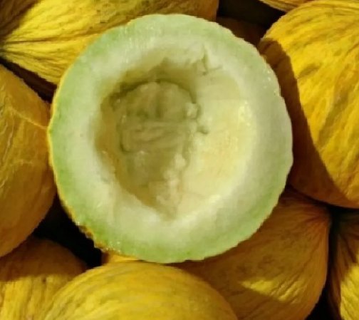 Golden Beauty Casaba Melon Yellow Fruit Vegetable Heirloom Non Gmo 30 Seeds for Garden Planting