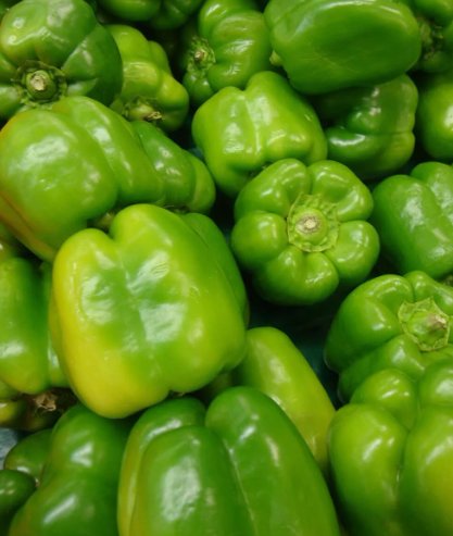 Yolo Wonder Pepper Sweet Bell Vegetable Heirloom Non Gmo 100 Seeds for Garden Planting