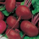 Beet Seeds Crosby's Egyptian Vegetable Heirloom Non Gmo 100 Seeds for Garden Planting Beet Seeds Crosby's Egyptian Vegetable Heirloom Non Gmo 100 Seeds for Garden Planting
