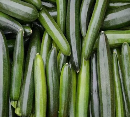 Squash Black Beauty Zucchini Summer Vegetable Heirloom Non Gmo 25 Seeds for Garden Planting