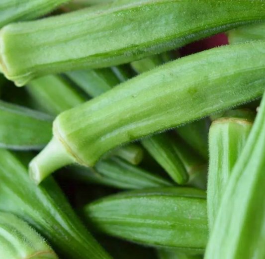 Okra Perkins Long Pod Vegetable Heirloom Non Gmo 30 Seeds for Garden Planting