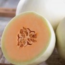 Honey Dew Orange Flesh Cantaloupe Muskmelon Fruit Vegetable 50 Seeds for Garden Planting
