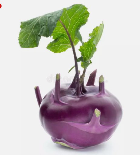 Kohlrabi Purple Vienna Vegetable Vegetable Non Gmo 500 Seeds for Garden Planting