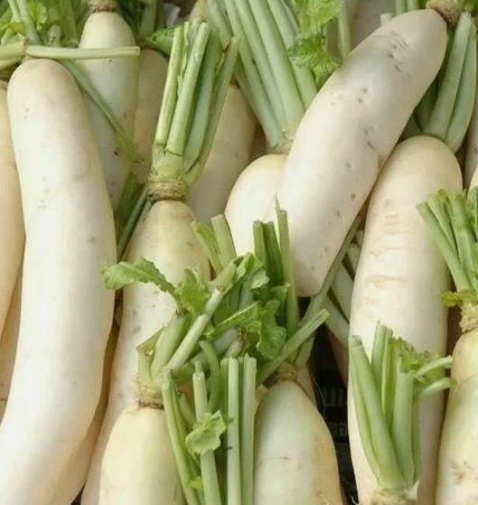 Daikon Radish Japanese Minowase Vegetable Non Gmo 200 Seeds for Garden Planting