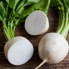 Radish Seeds Hailstone White Vegetable Heirloom Non Gmo 200 Seeds for Garden Planting