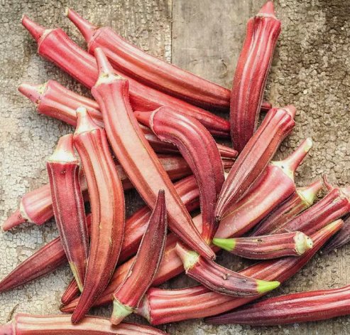 Okra Seeds Jing Orange Asian Vegetable Heirloom Non Gmo 30 Seeds for Garden Planting