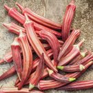 Okra Seeds Jing Orange Asian Vegetable Heirloom Non Gmo 30 Seeds for Garden Planting