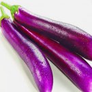 Eggplant Long Purple Vegetable Heirloom Non Gmo 200 Seeds for Garden Planting