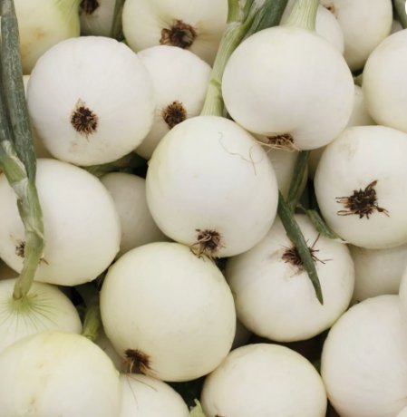 Onion White Spanish Sweet Mild Vegetable Heirloom Non Gmo 250 Seeds for Garden Planting