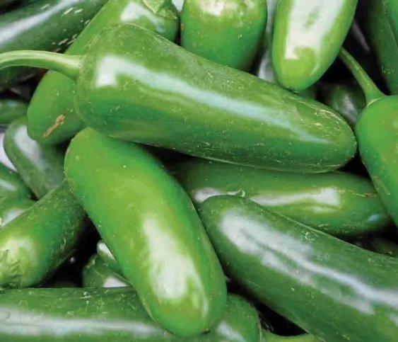 Jalapeno M Pepper Vegetable Heirloom Non Gmo 100 Seeds for Garden Planting