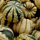 Sweet Dumpling Squash Winter Vegetable Heirloom Non Gmo 30 Seeds for Garden Planting Sweet Dumpling Squash Winter Vegetable Heirloom Non Gmo 30 Seeds for Garden Planting