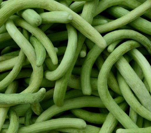 Dark Armenian Cucumber Long Snake Serpent Vegetable Heirloom Non Gmo 50 Seeds for Garden Planting