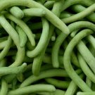 Dark Armenian Cucumber Long Snake Serpent Vegetable Heirloom Non Gmo 50 Seeds for Garden Planting