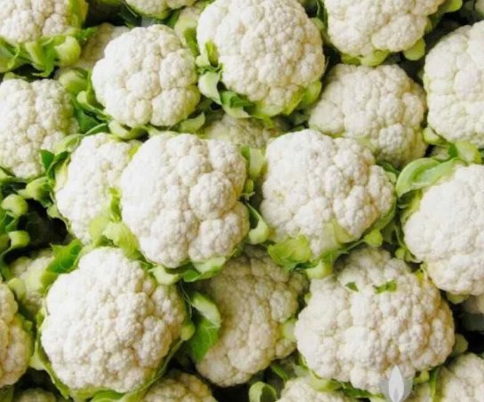 Cauliflower Snowball Y Improved Vegetable Heirloom Non Gmo 300 Seeds for Garden Planting