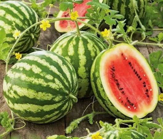 Watermelon Crimson Sweet Fruit Melon Vegetable Heirloom 50 Seeds for Garden Planting