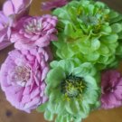 Zinnia Tranquility Mix Vegetable Heirloom 100 Seeds for Garden Planting