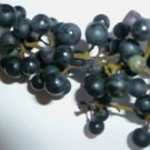 Wild Grape Organic Vitis aestivalis Non Gmo Vegetable Heirloom 10 Seeds for Garden Planting Wild Grape Organic Vitis aestivalis Non Gmo Vegetable Heirloom 10 Seeds for Garden Planting