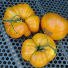 Kentucky Beefsteak Tomato Non Gmo Vegetable Heirloom 100 Seeds for Garden Planting