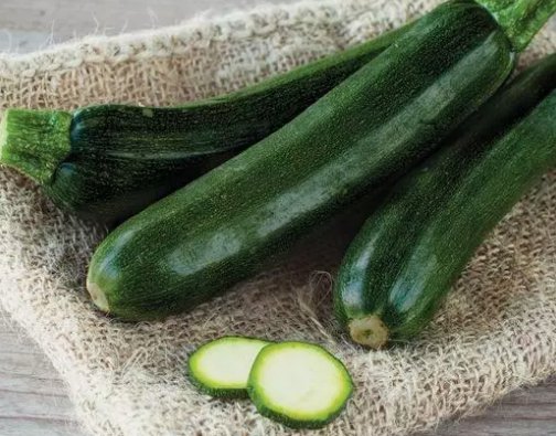 Black beauty Zucchini Squash Non Gmo Vegetable Heirloom 100 Seeds for Garden Planting
