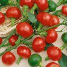 Large Red Cherry Pepper Vegetable Heirloom 100 Seeds for Garden Planting Large Red Cherry Pepper Vegetable Heirloom 100 Seeds for Garden Planting